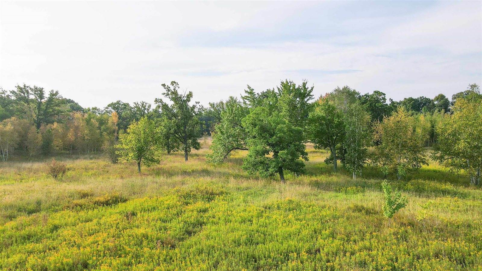 40 Acres County Road II, Rudolph, WI 54475