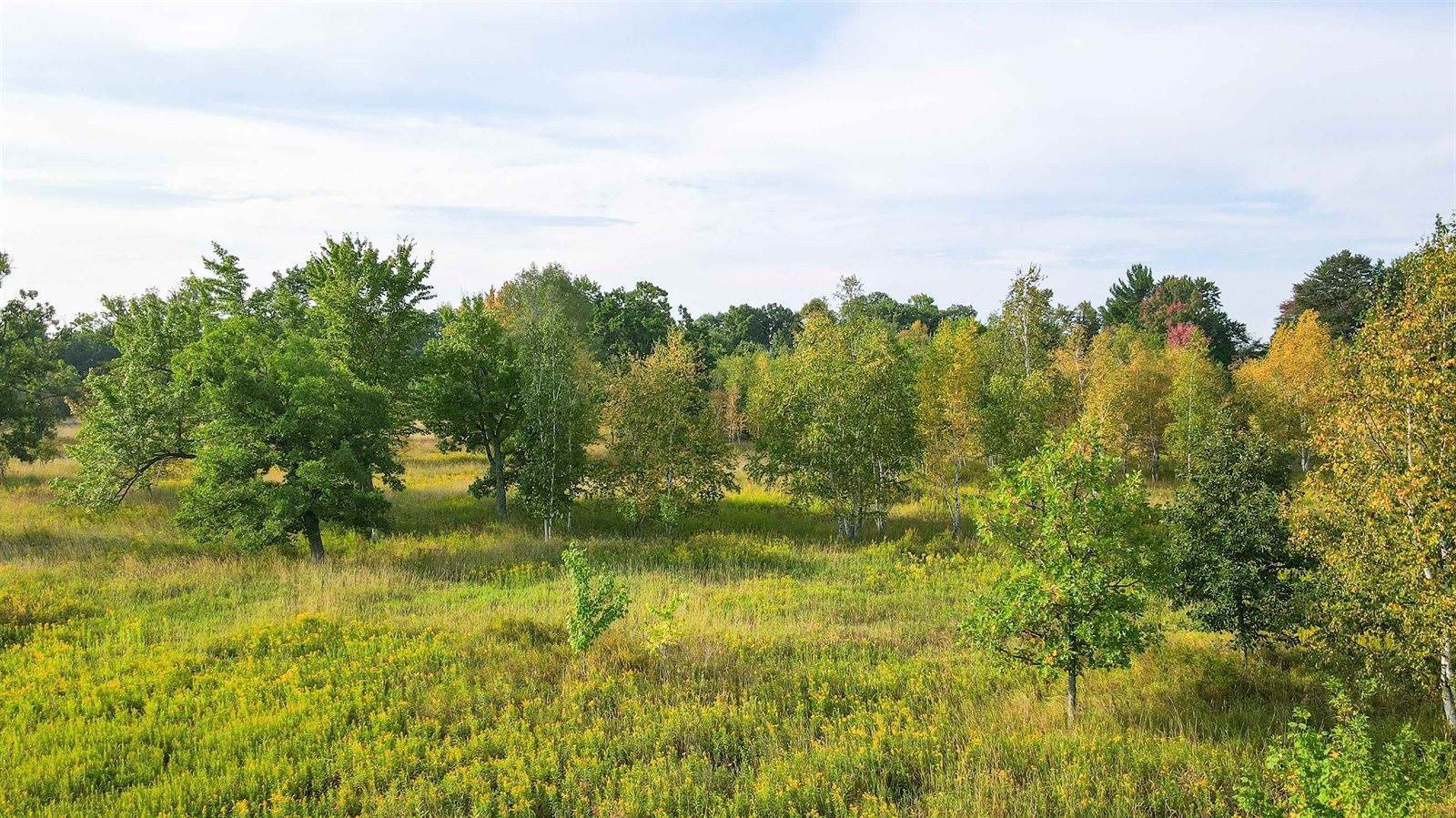 40 Acres County Road II, Rudolph, WI 54475