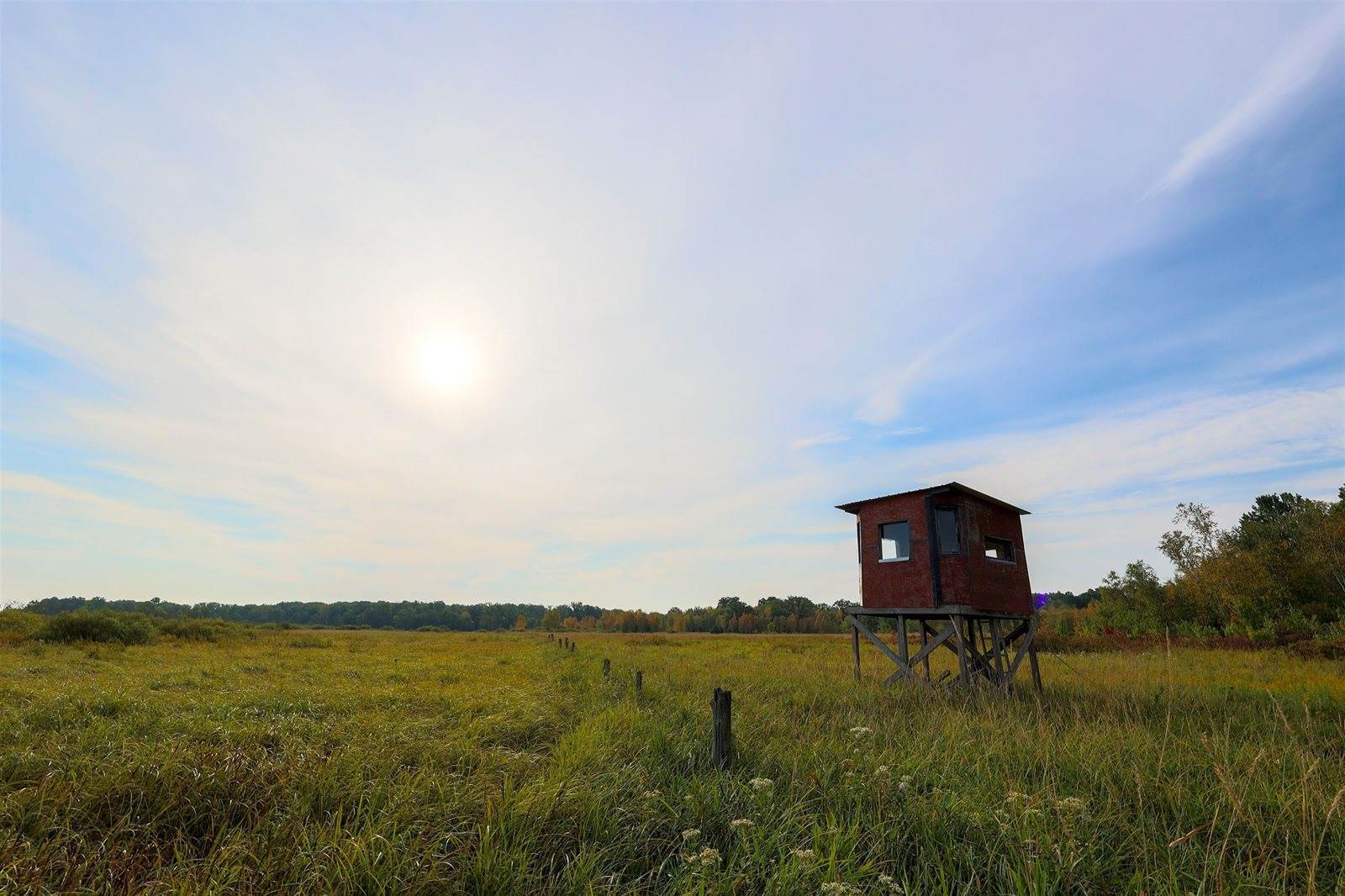 40 Acres County Road II, Rudolph, WI 54475