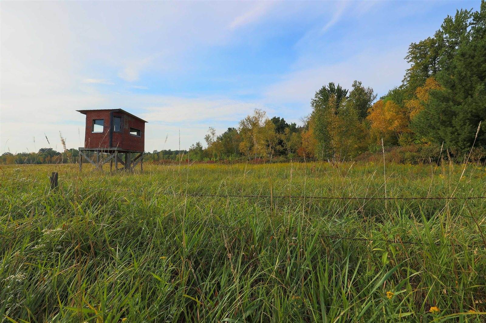 40 Acres County Road II, Rudolph, WI 54475