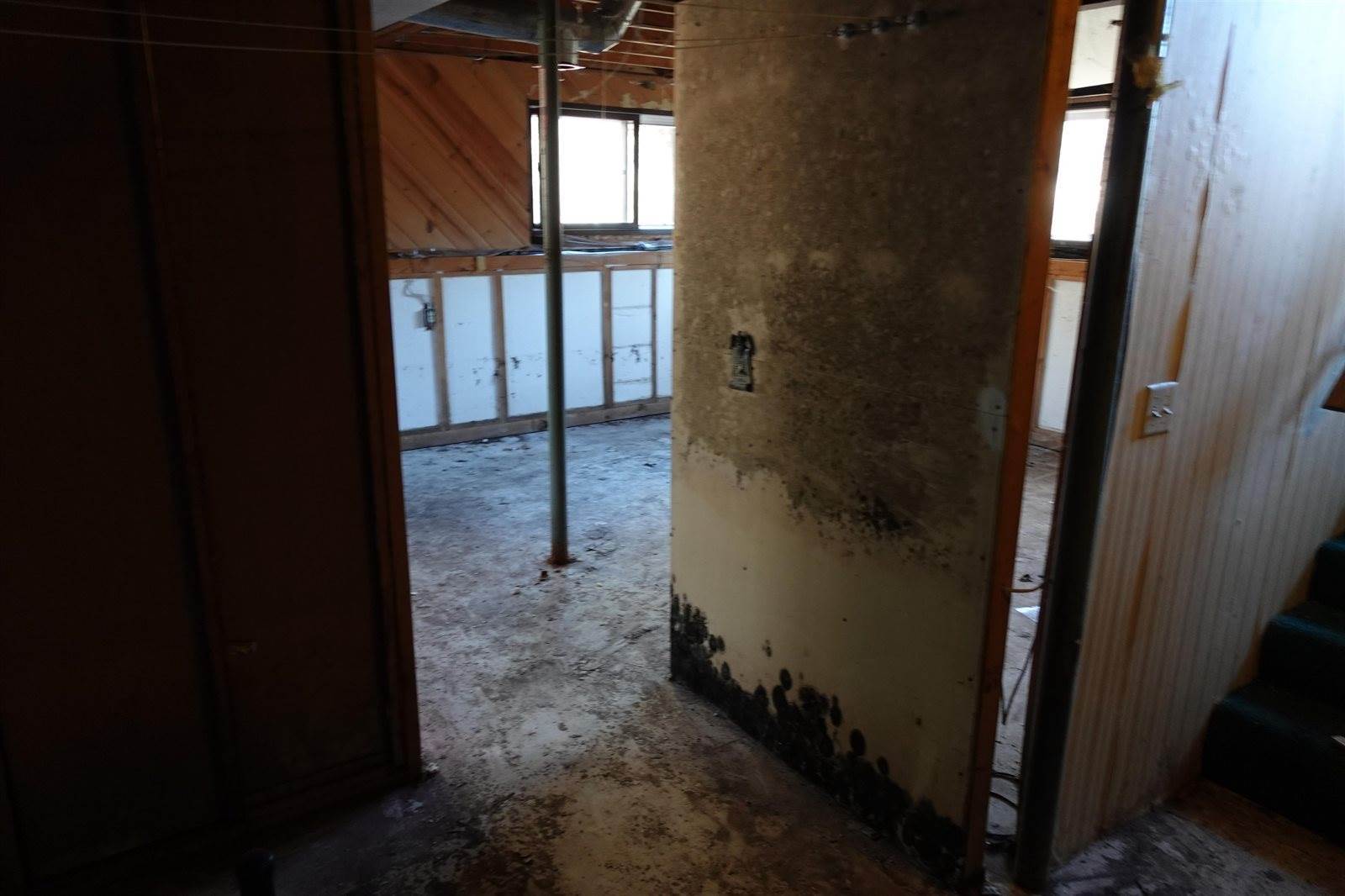 1554 Trout Road, Nekoosa, WI 54457