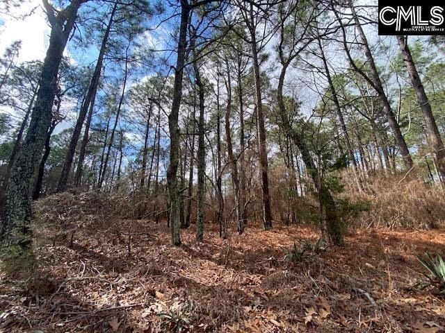 180 Rister Road, Gaston, SC 29053