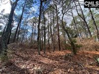 180 Rister Road, Gaston, SC 29053