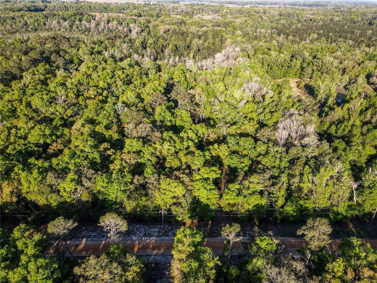241 Indian Lakes Forest Road, Florahome, FL 32140