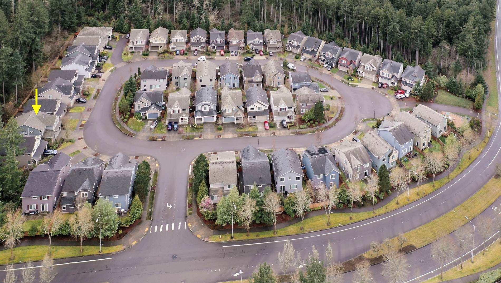 3924 Campus Willows Loop NE, Lacey, WA 98516