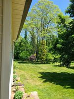 71 Simsbury, Simsbury, CT 06070