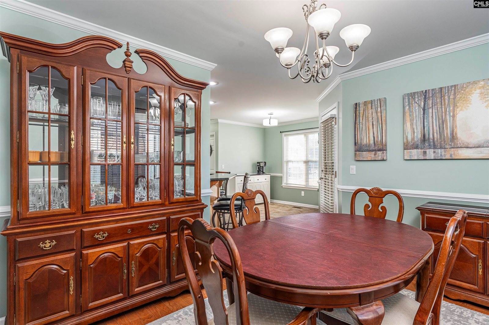 230 Elm Creek Court, Chapin, SC 29036