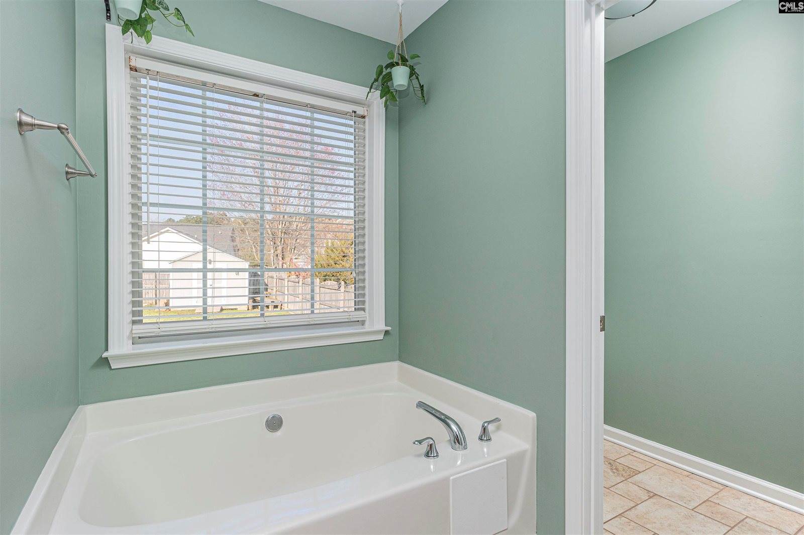 230 Elm Creek Court, Chapin, SC 29036