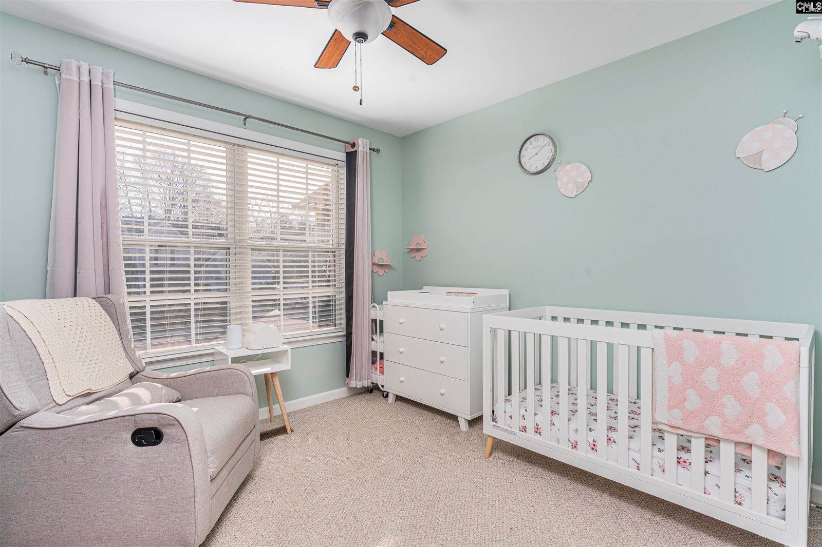 230 Elm Creek Court, Chapin, SC 29036