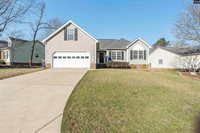 230 Elm Creek Court, Chapin, SC 29036