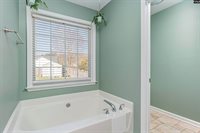 230 Elm Creek Court, Chapin, SC 29036