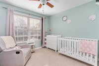 230 Elm Creek Court, Chapin, SC 29036