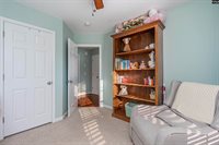 230 Elm Creek Court, Chapin, SC 29036