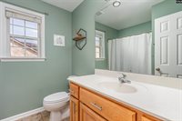 230 Elm Creek Court, Chapin, SC 29036