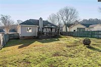 230 Elm Creek Court, Chapin, SC 29036