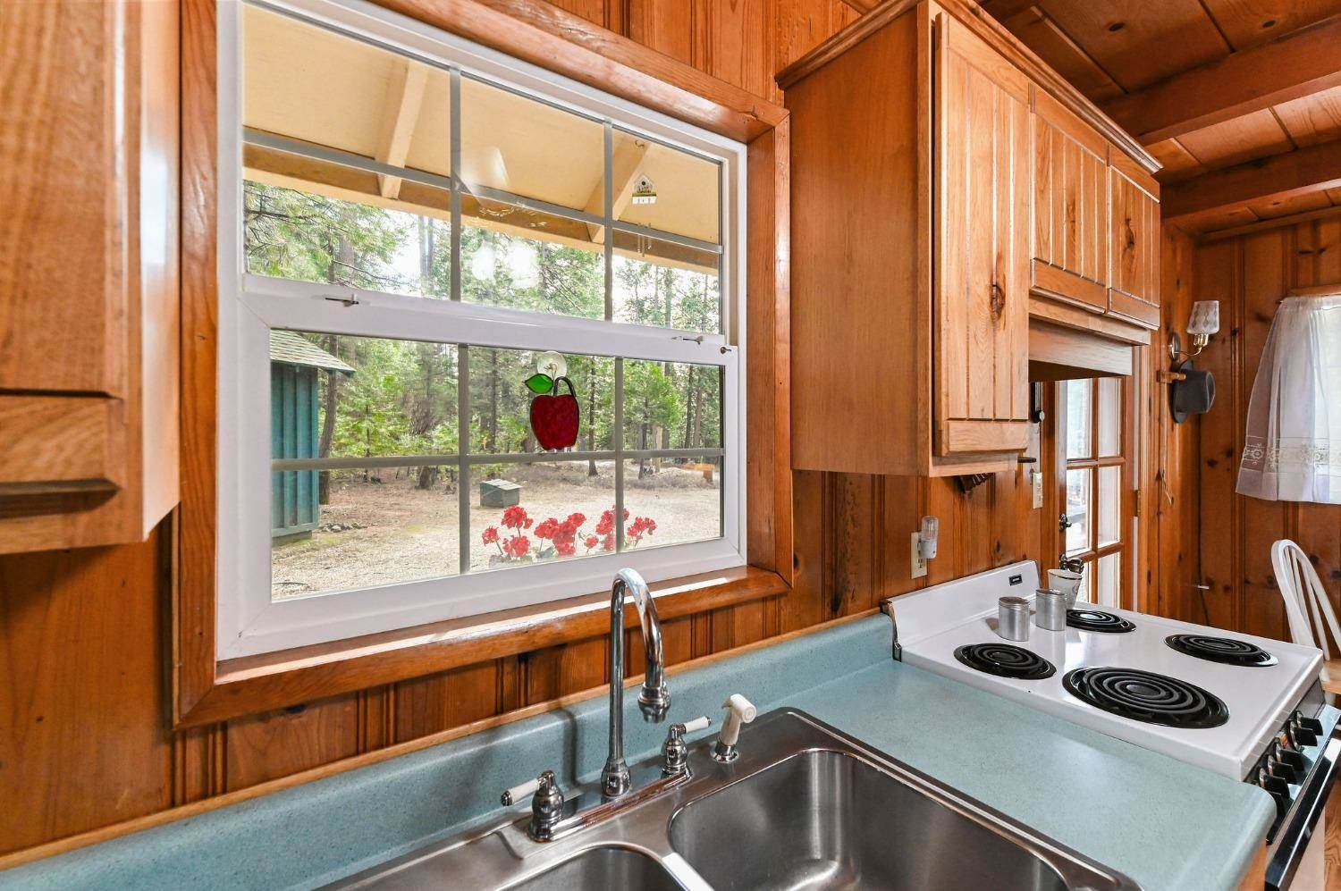 27035 Carson . Street, Pioneer, CA 95666