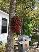 31 Smith Road, Enfield, ME 04493