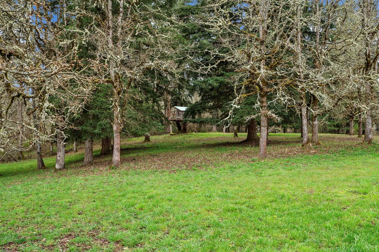 38979 Sodaville Waterloo Dr, Lebanon, OR 97355