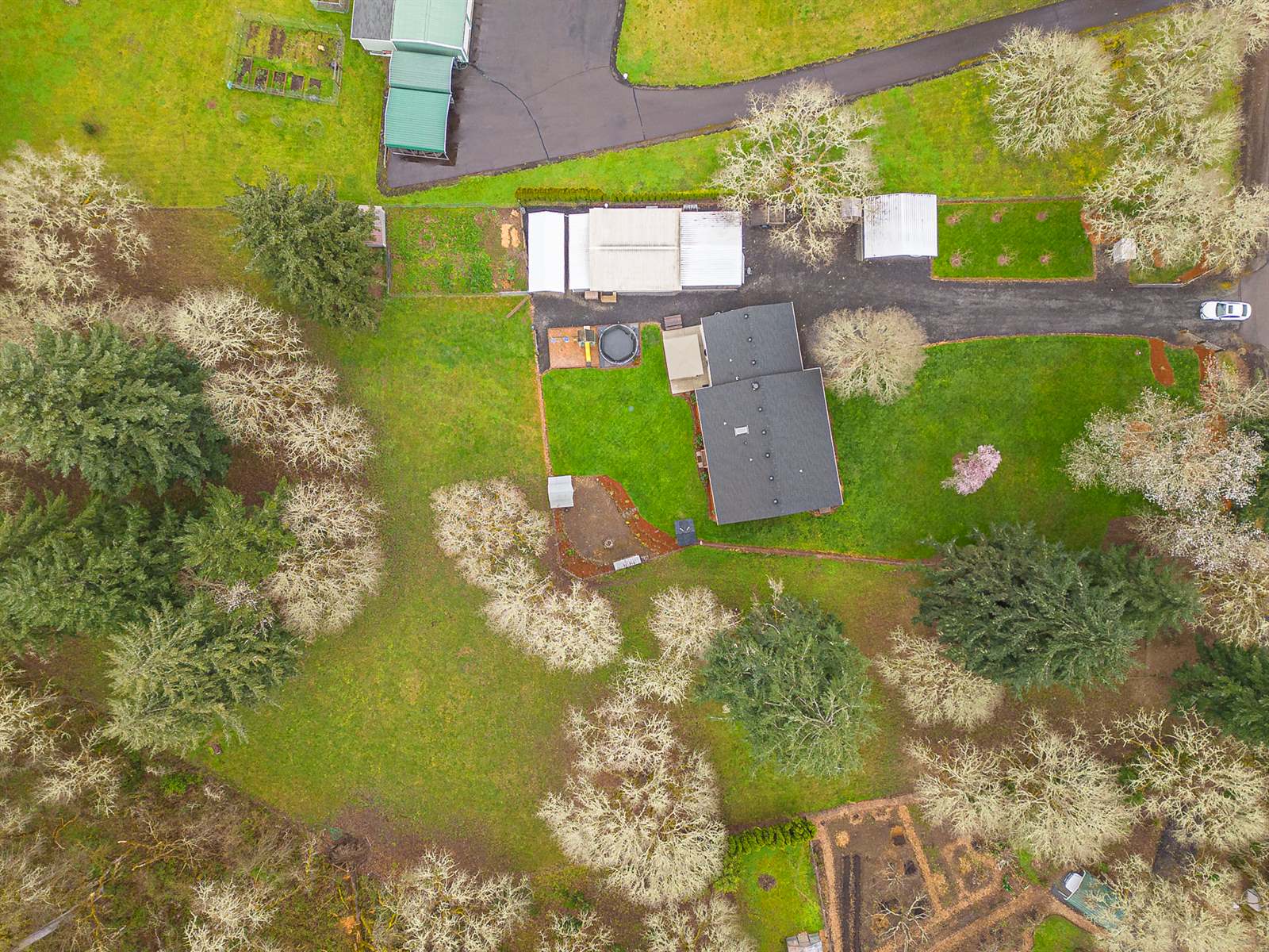 38979 Sodaville Waterloo Dr, Lebanon, OR 97355