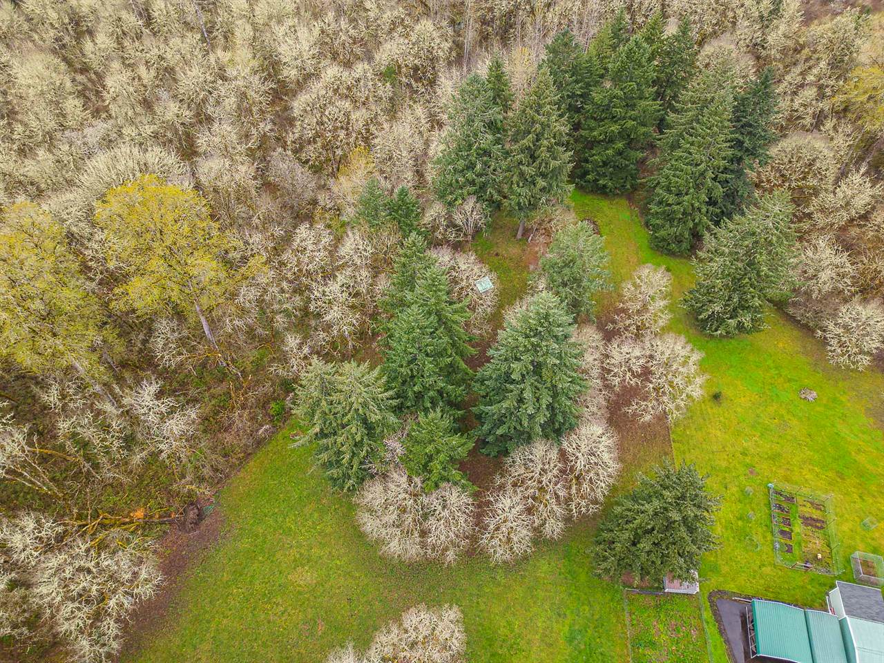 38979 Sodaville Waterloo Dr, Lebanon, OR 97355