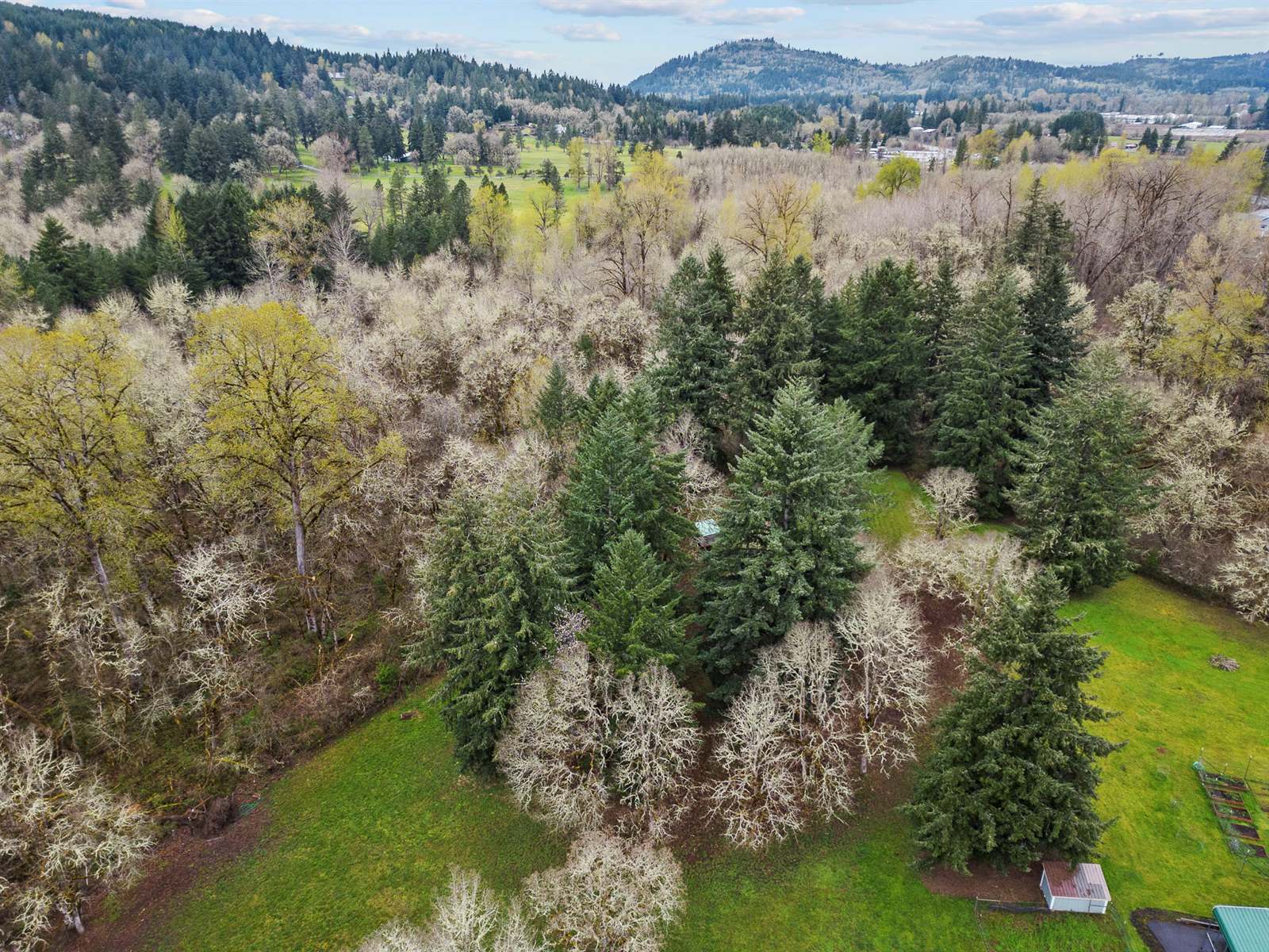 38979 Sodaville Waterloo Dr, Lebanon, OR 97355