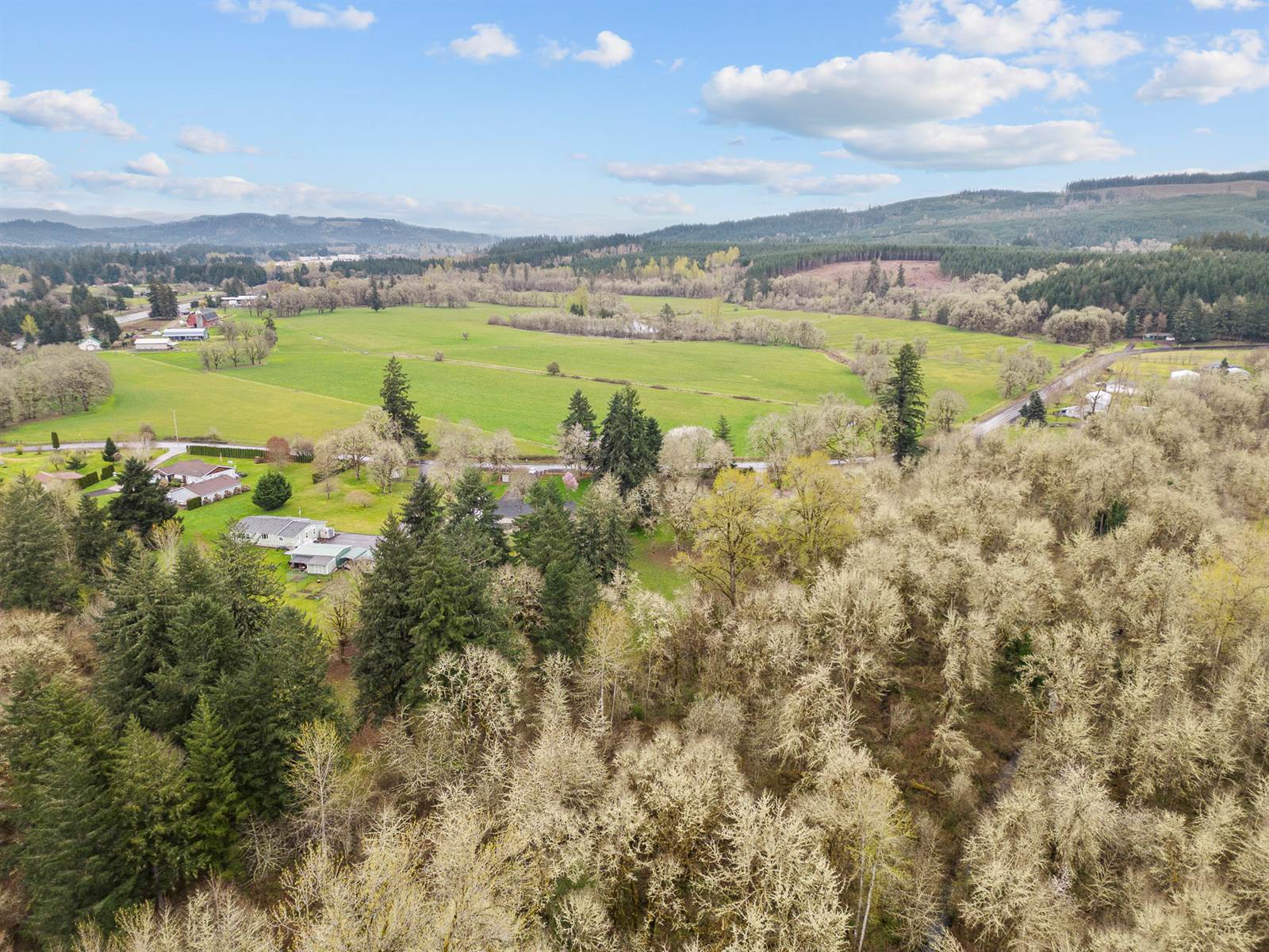 38979 Sodaville Waterloo Dr, Lebanon, OR 97355