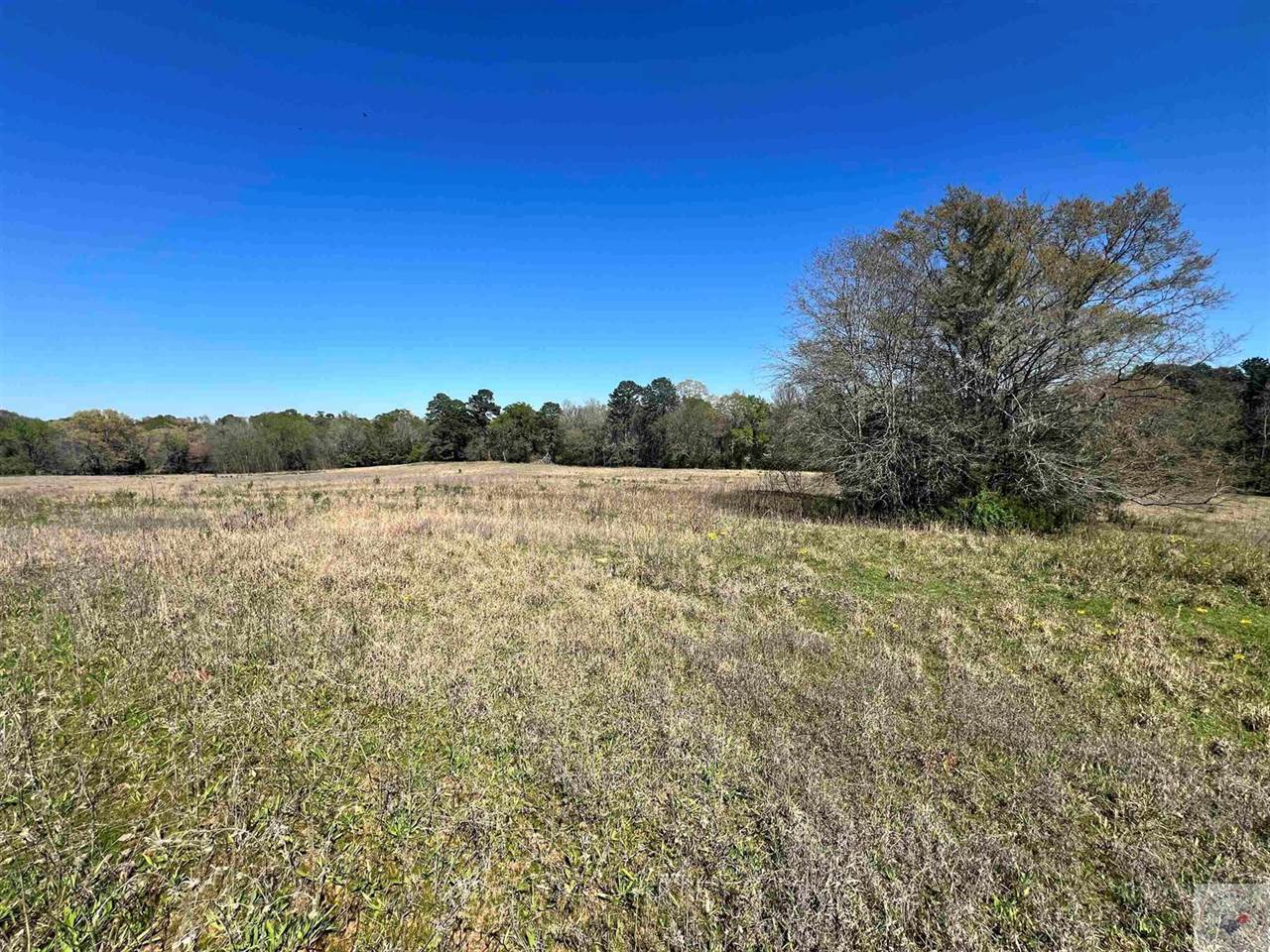 1797 CR 4215, Simms, TX 75574