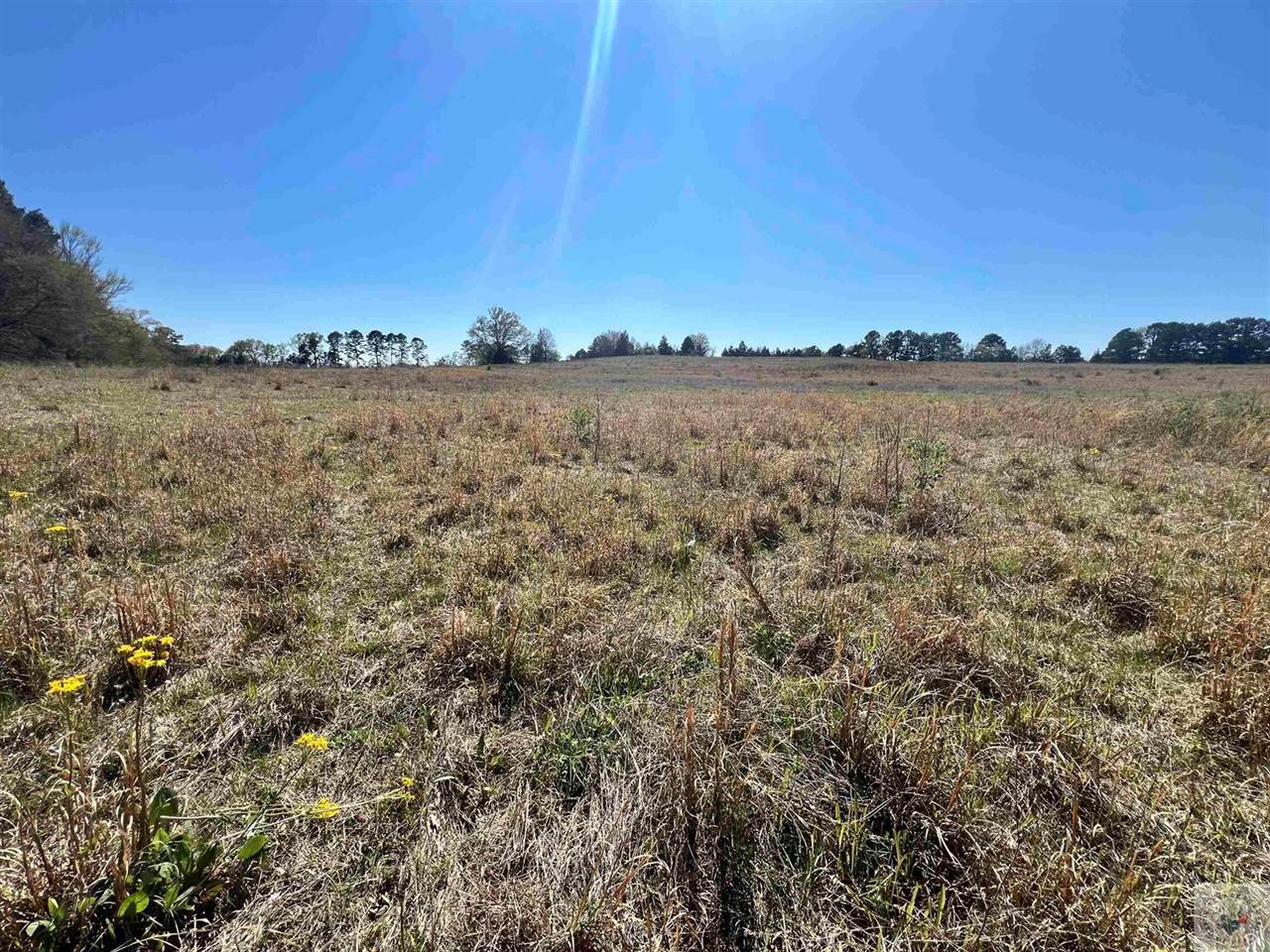 1797 CR 4215, Simms, TX 75574