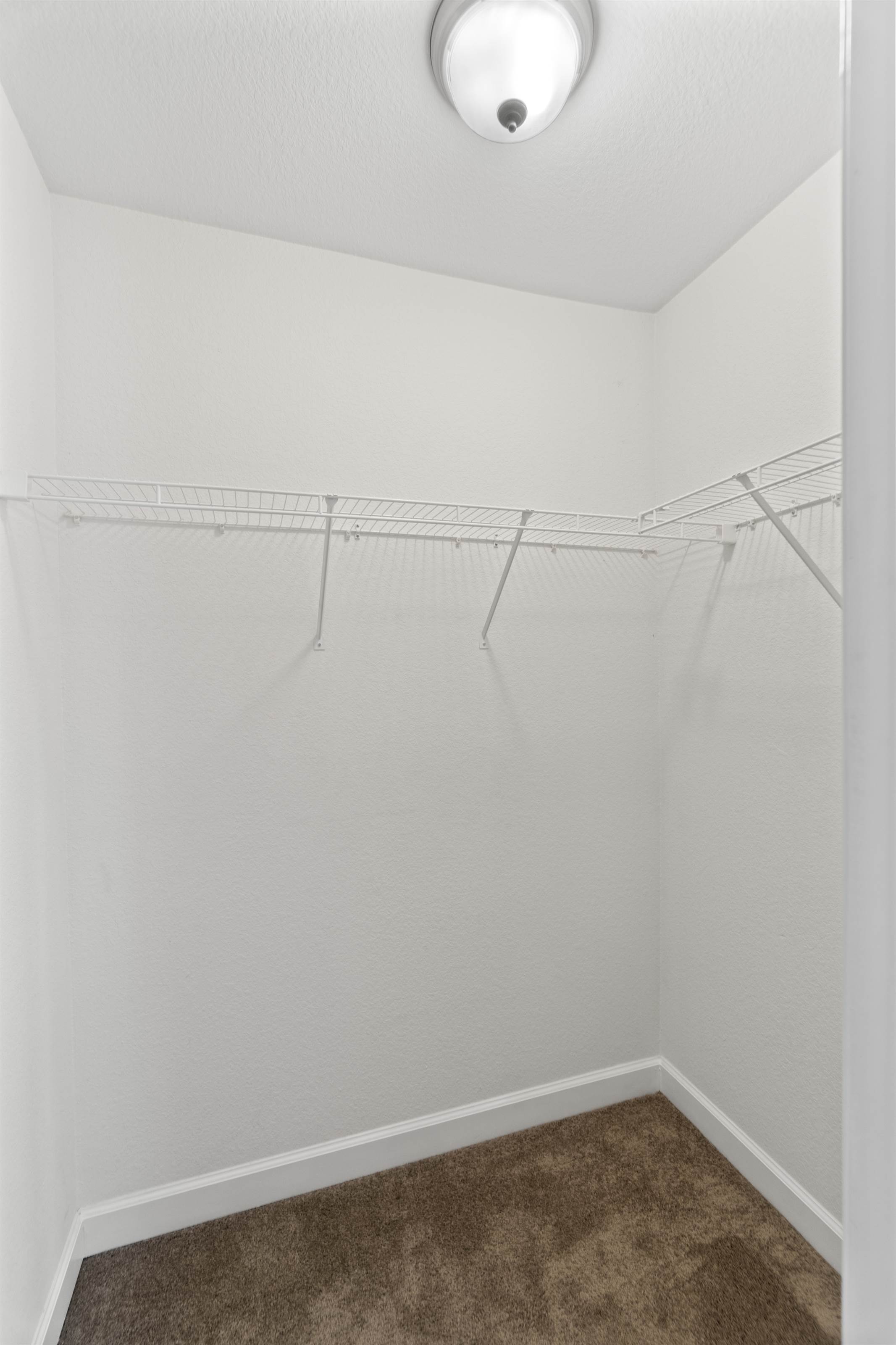 500 Carissa Way, Chesapeake, VA 23322