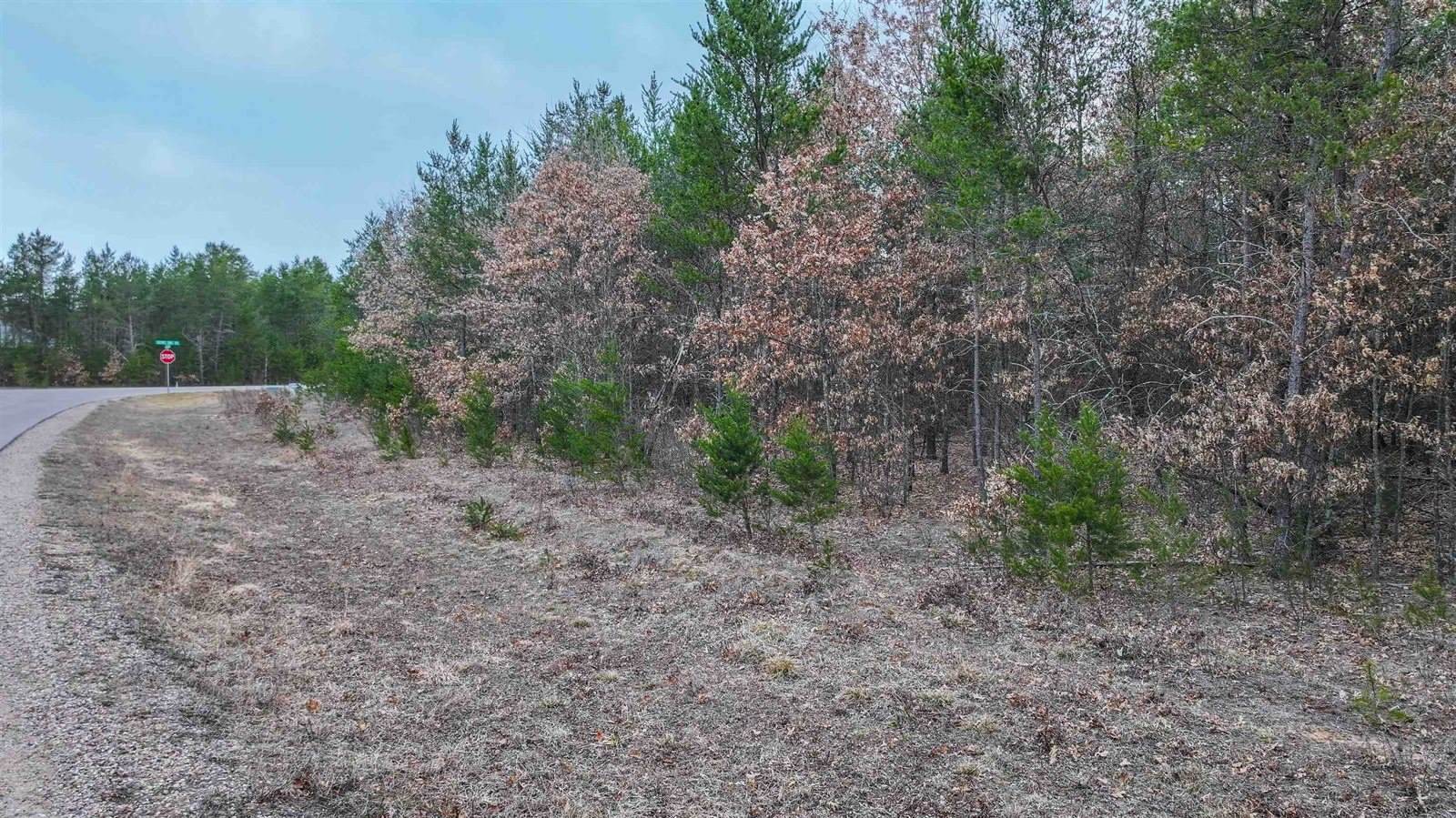 Lot # 33 RED TAIL HAWK DRIVE, Stevens Point, WI 54482