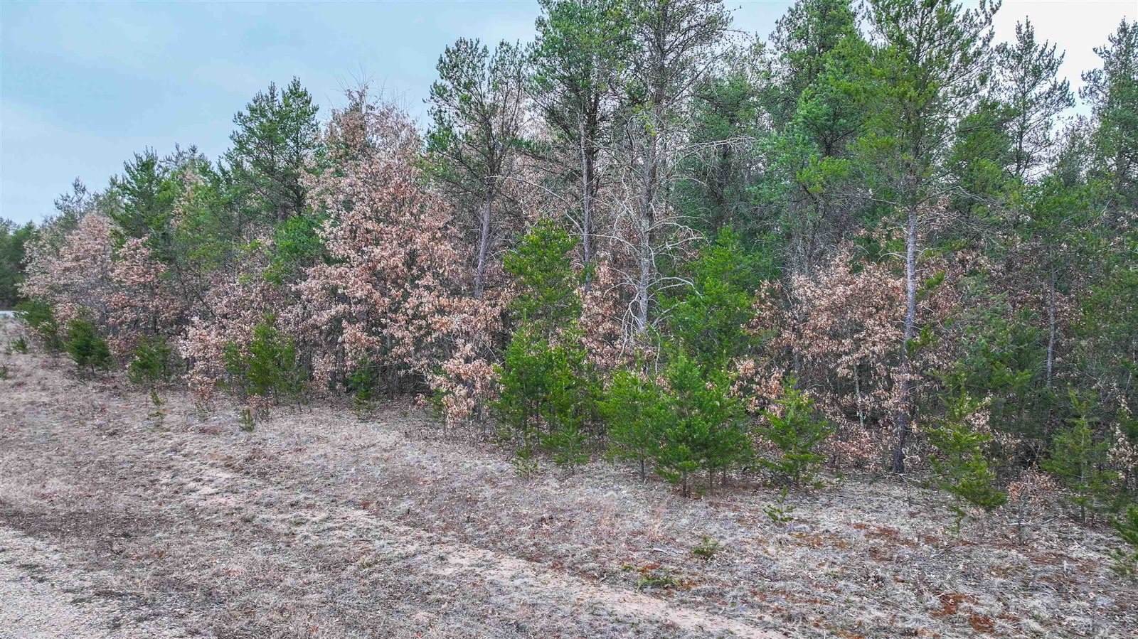 Lot # 33 RED TAIL HAWK DRIVE, Stevens Point, WI 54482