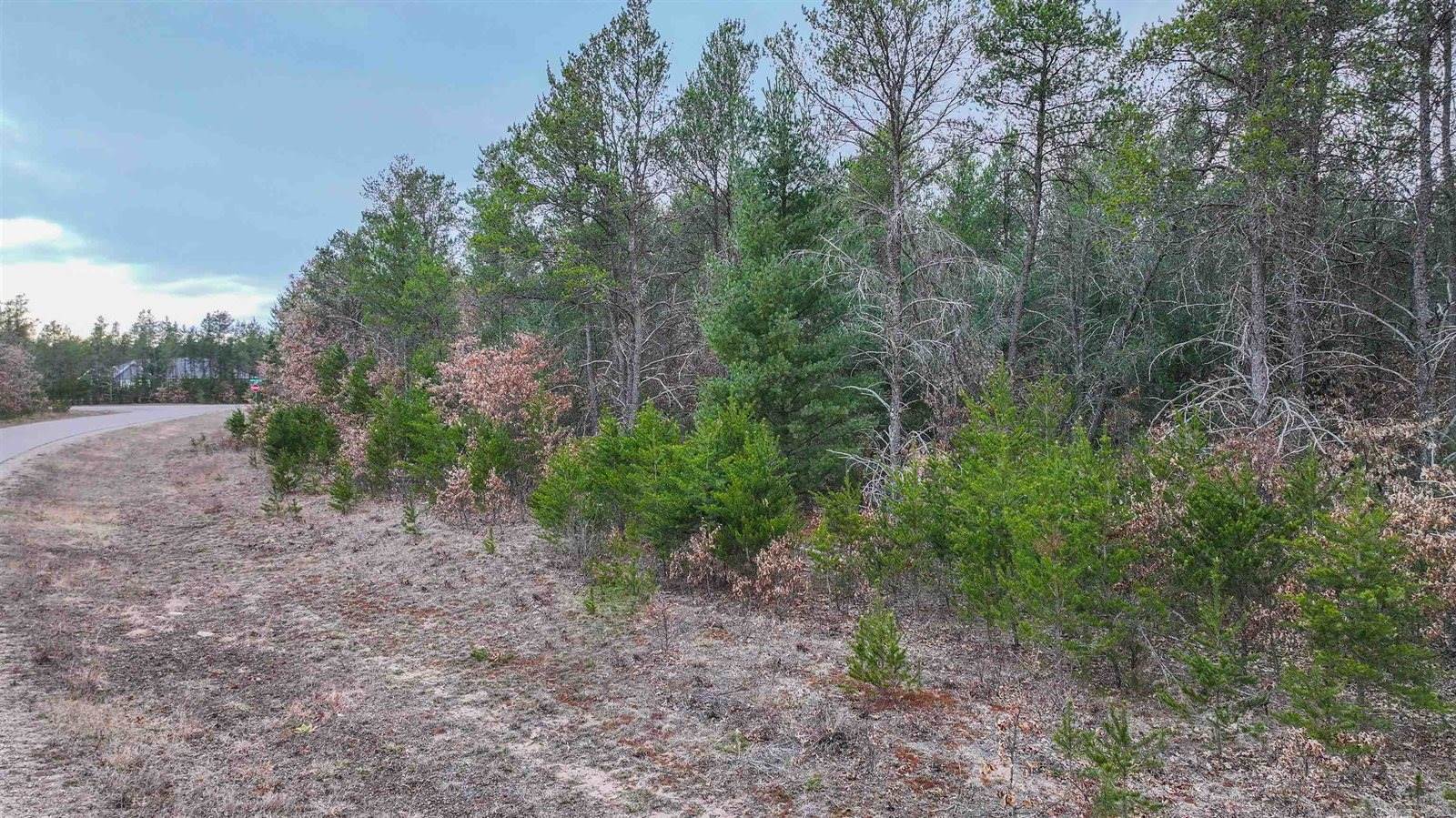 Lot # 33 RED TAIL HAWK DRIVE, Stevens Point, WI 54482