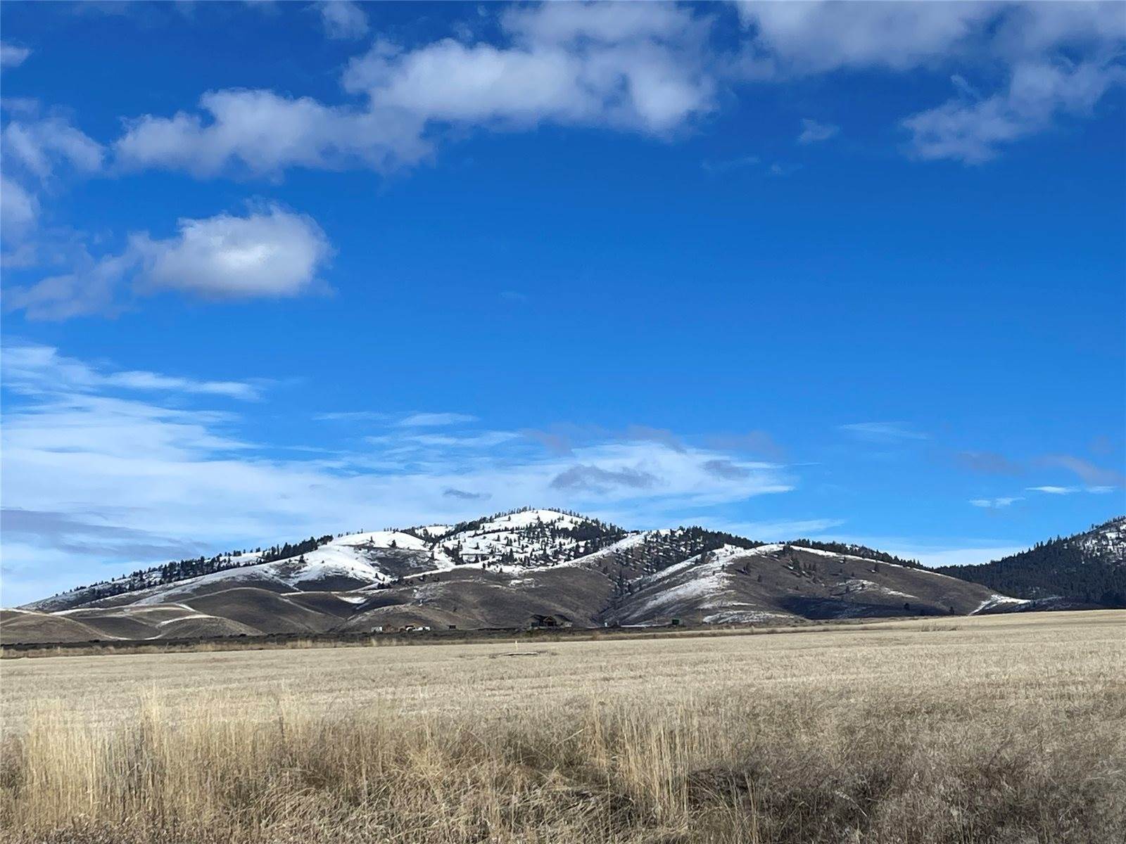 NHN Lot 5 Fairview Road, Florence, MT 59833