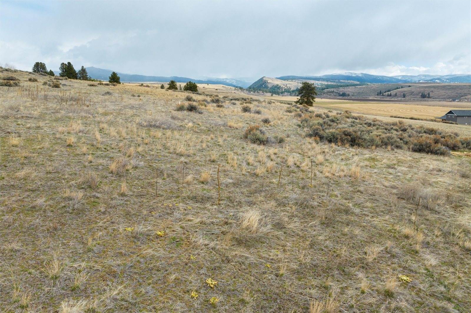 NHN Lot 2 Fairview Road, Florence, MT 59833