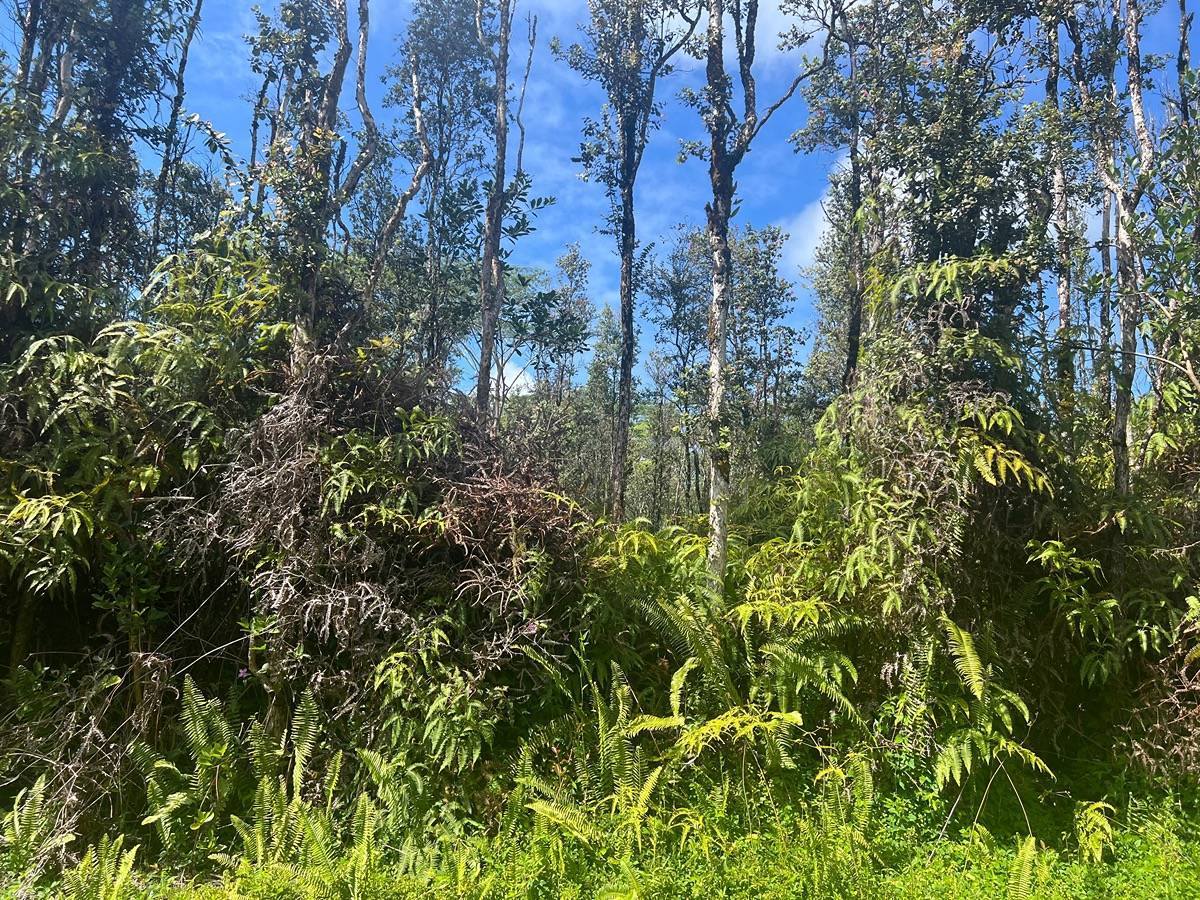 Mauna Kea Rd, Pahoa, HI 96778