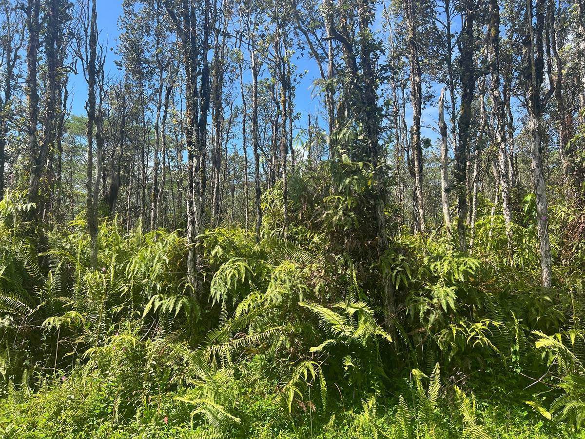 Mauna Kea Rd, Pahoa, HI 96778