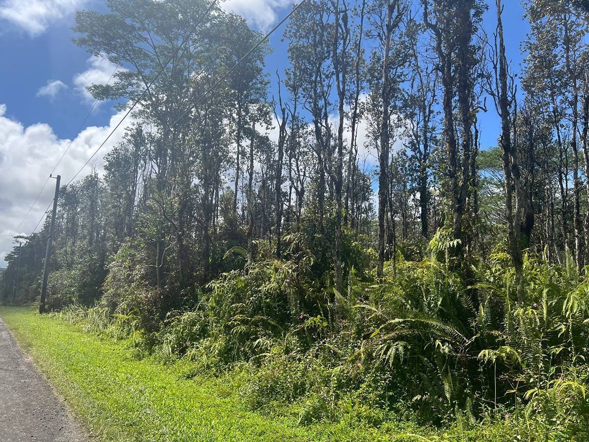 Mauna Kea Rd, Pahoa, HI 96778