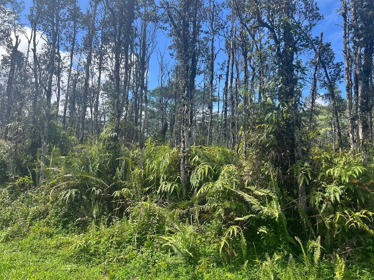 Mauna Kea Rd, Pahoa, HI 96778