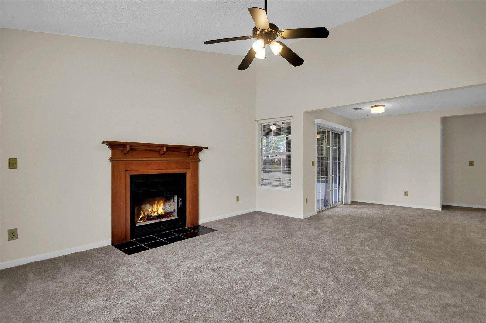 213 Birmingham Drive, Summerville, SC 29486