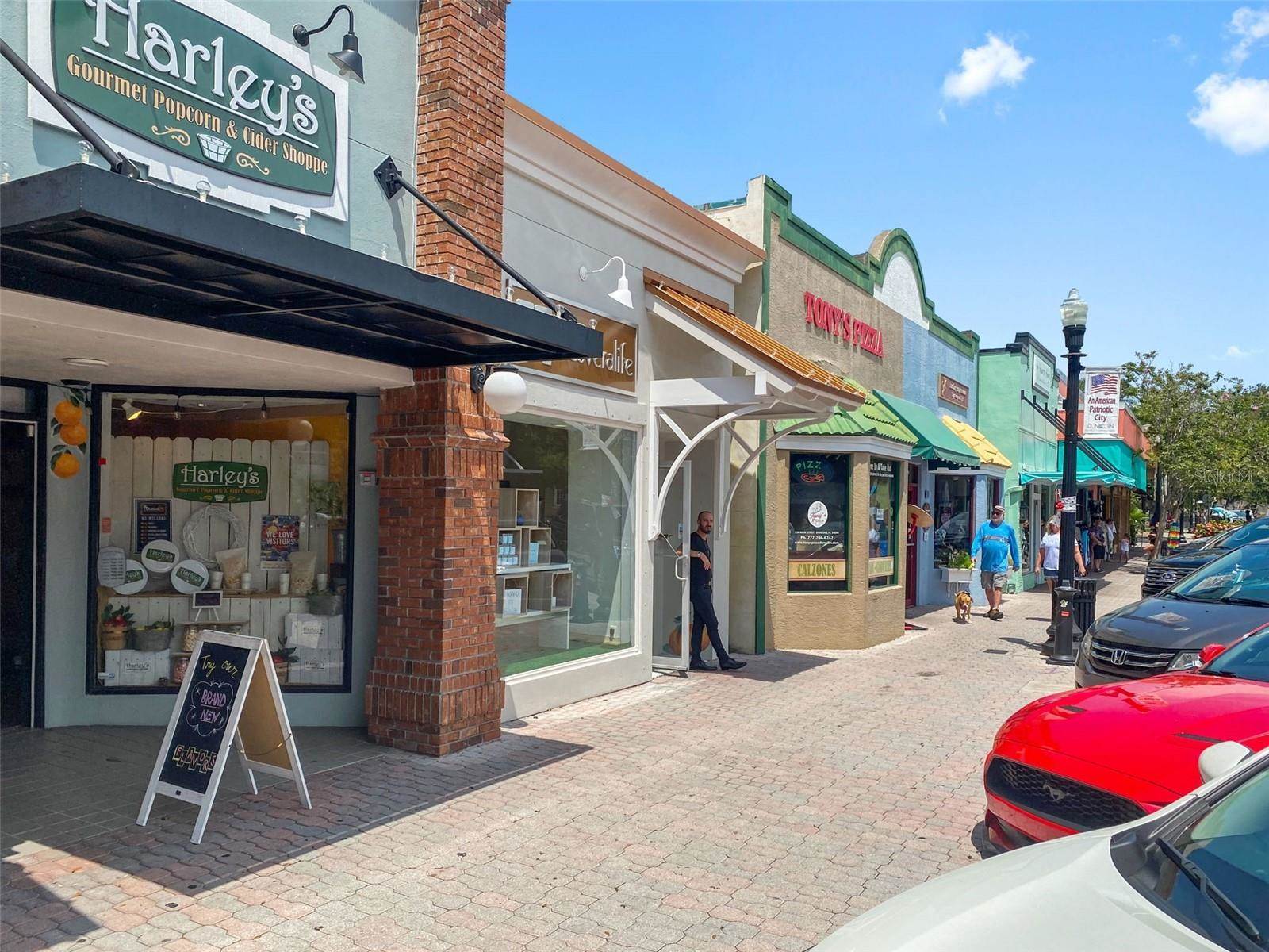 2090 Hunters Glen Drive, Dunedin, FL 34698