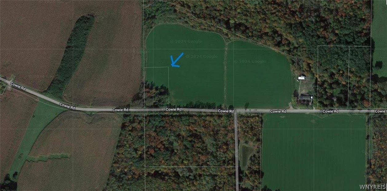 V/L 0 Cowie Rd, Perry, NY 14530