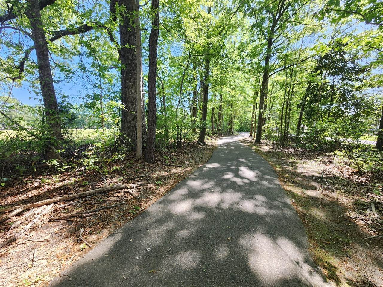 202 Pimpernel Street, Summerville, SC 29483