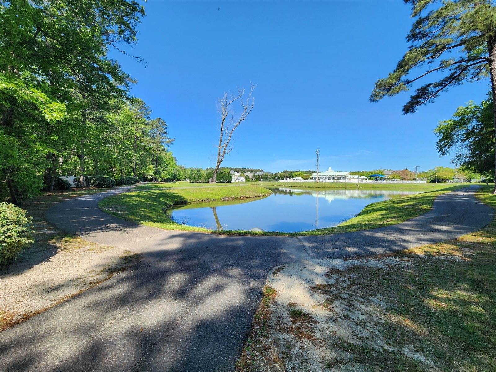 202 Pimpernel Street, Summerville, SC 29483