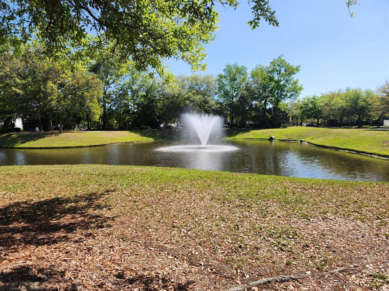 202 Pimpernel Street, Summerville, SC 29483