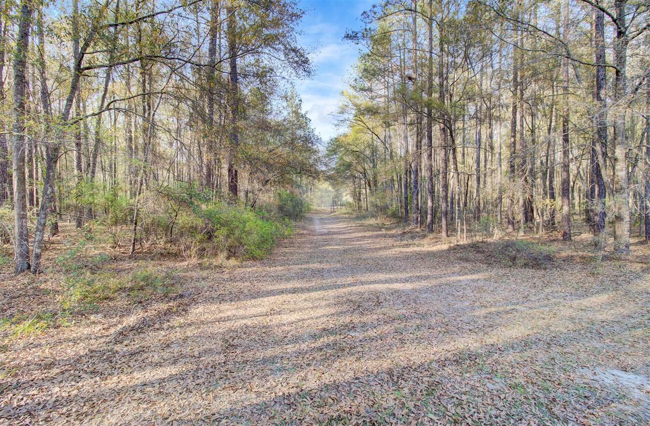 1640 Wire Road, Dorchester, SC 29437