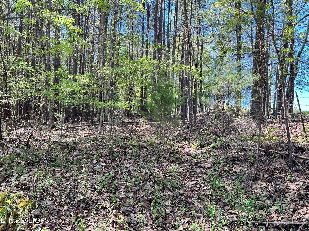 0000 Old Hickory Flat Road, Decatur, TN 37322
