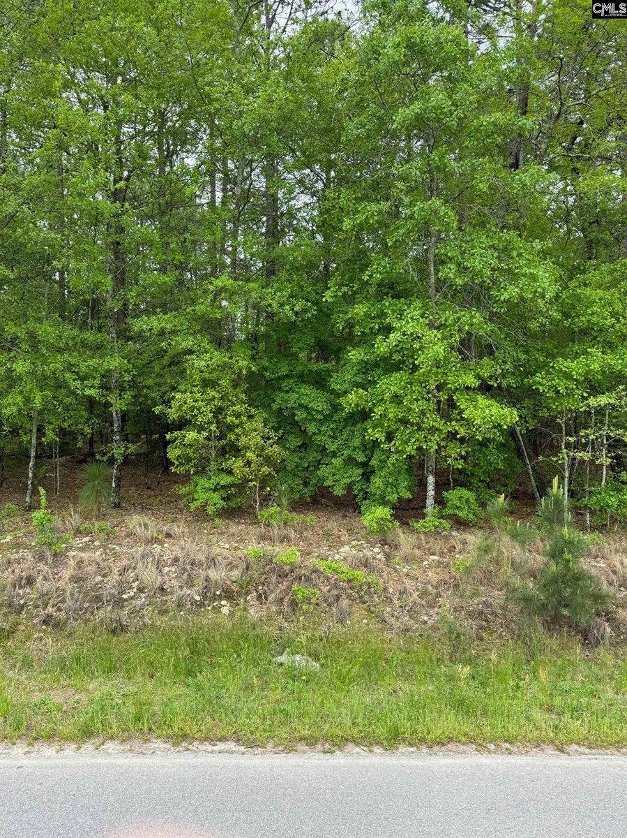 TBD Windy Wood Rd, Lexington, SC 29073