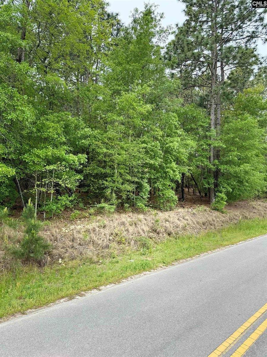 TBD Windy Wood Rd, Lexington, SC 29073