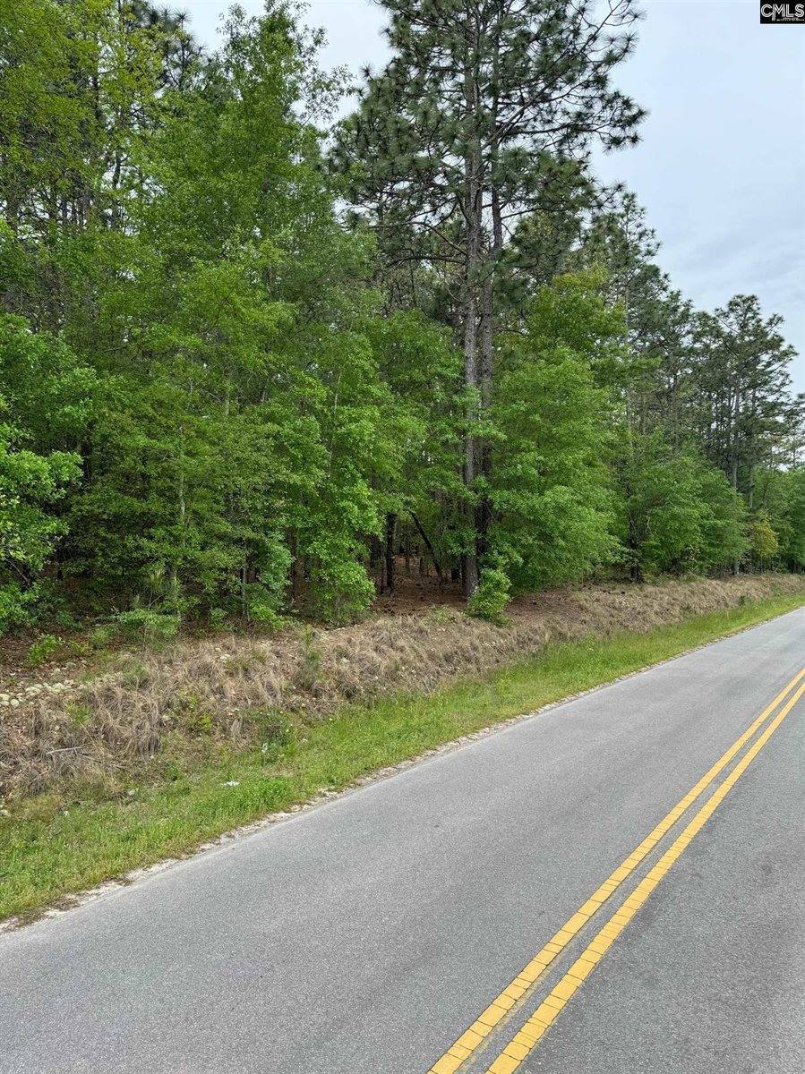 TBD Windy Wood Rd, Lexington, SC 29073