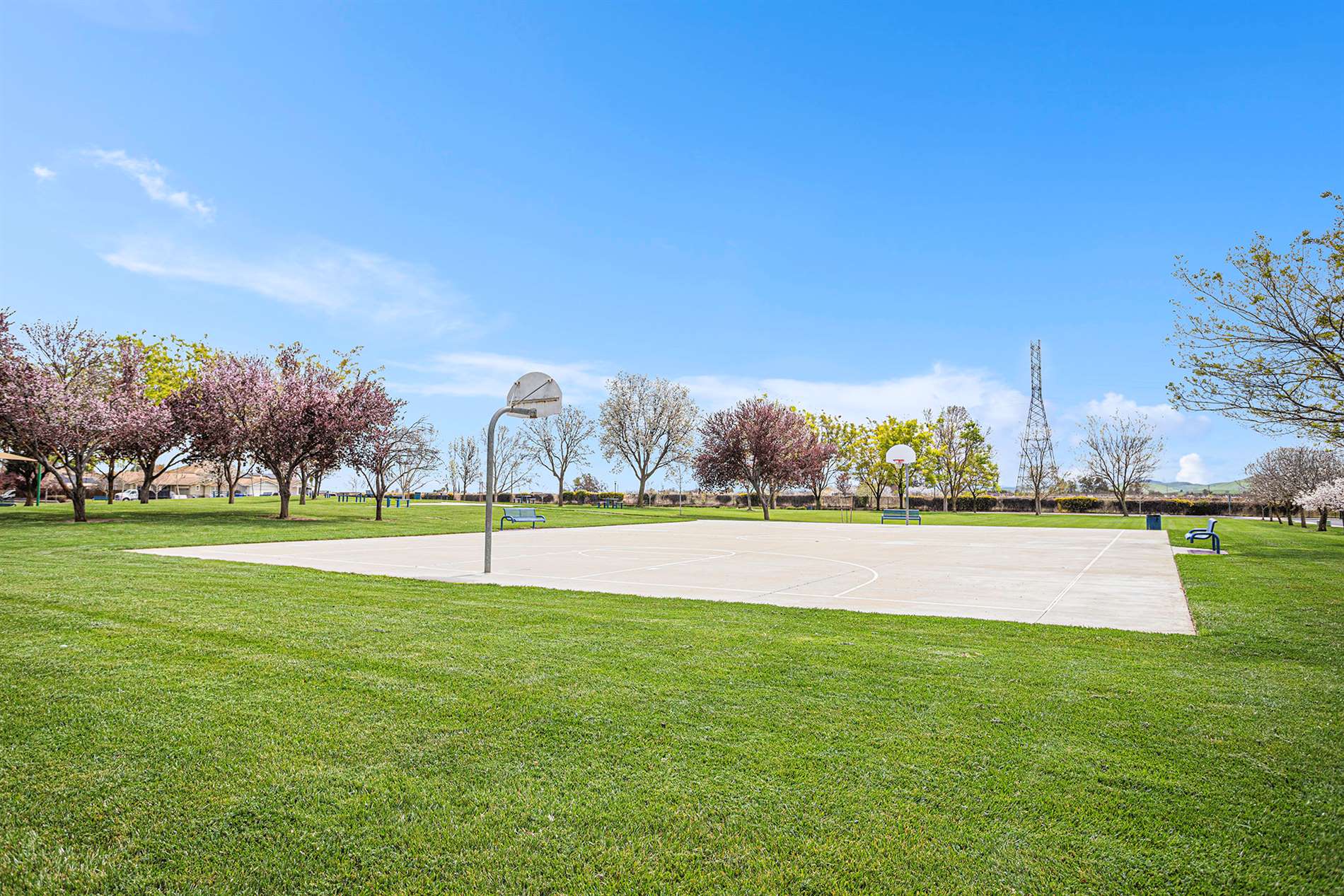 116 Danica Ct, Brentwood, CA 94513